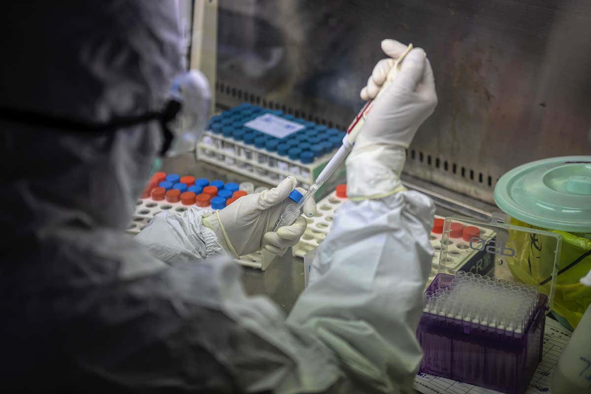 Coronavirus: Are there two strains and is one more deadly? | New Scientist