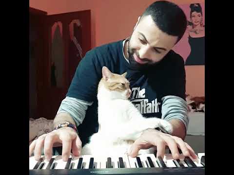 Fevzi.. ?❤ - YouTube