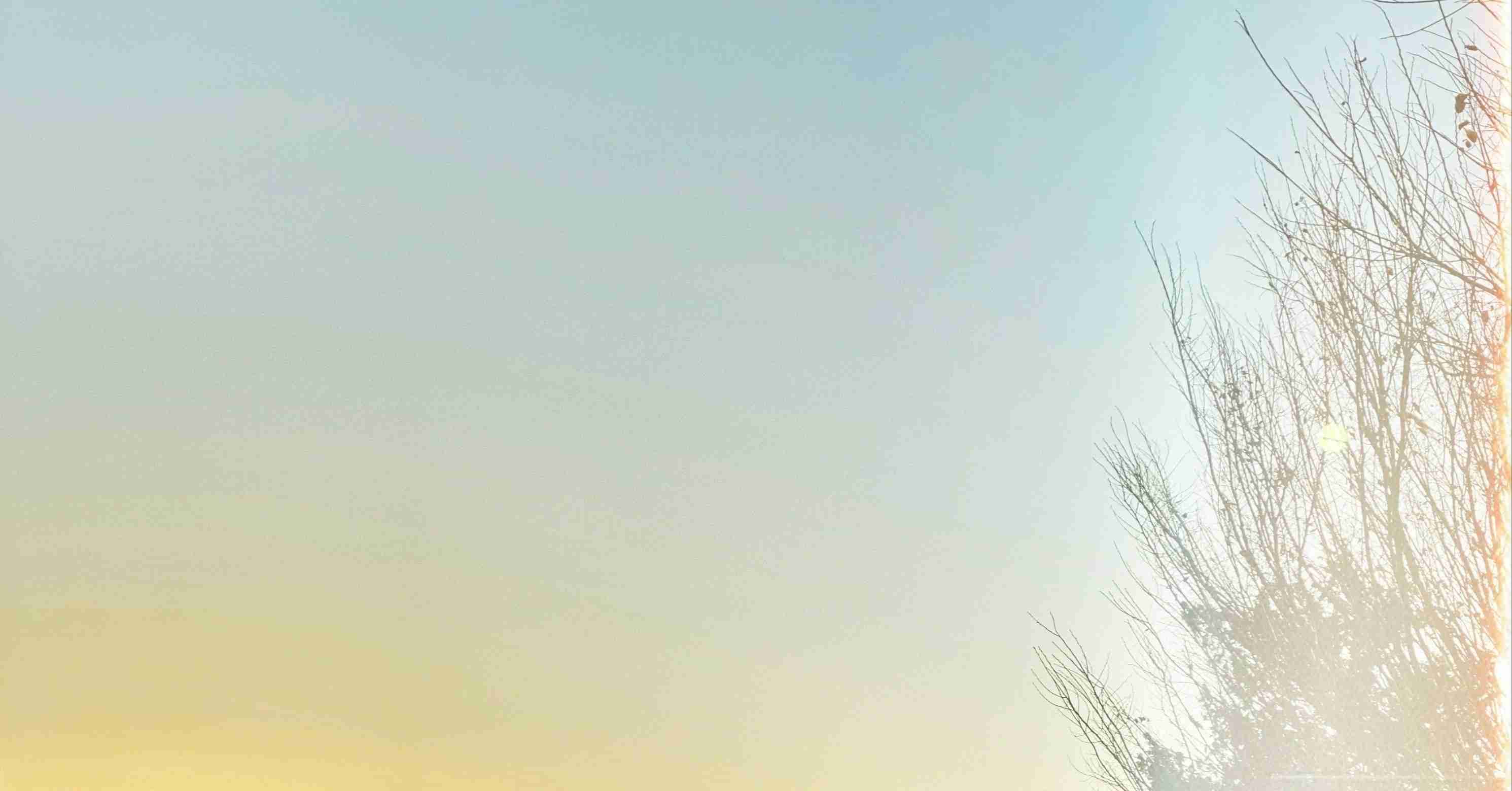 星野源「うちで踊ろう」、首相動画を機に起こったことについて考える｜有泉智子｜note