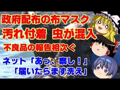 【ゆっくりニュース】政府配布の布マスクに「汚れ付着」「虫が混入」　不良品の報告相次ぐ02 - YouTube