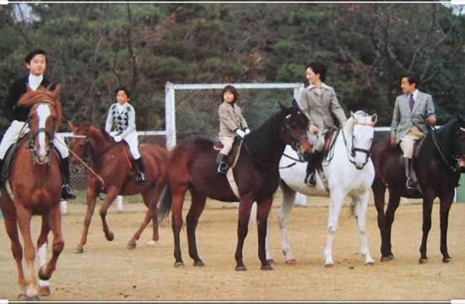 「立皇嗣の礼」延期を決定 新型コロナ感染拡大で