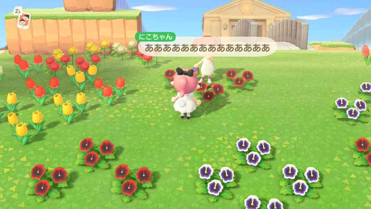 藤田ニコルが破壊活動『どうぶつの森』で三上悠亜の家を「ずっとぶっ壊してた」
