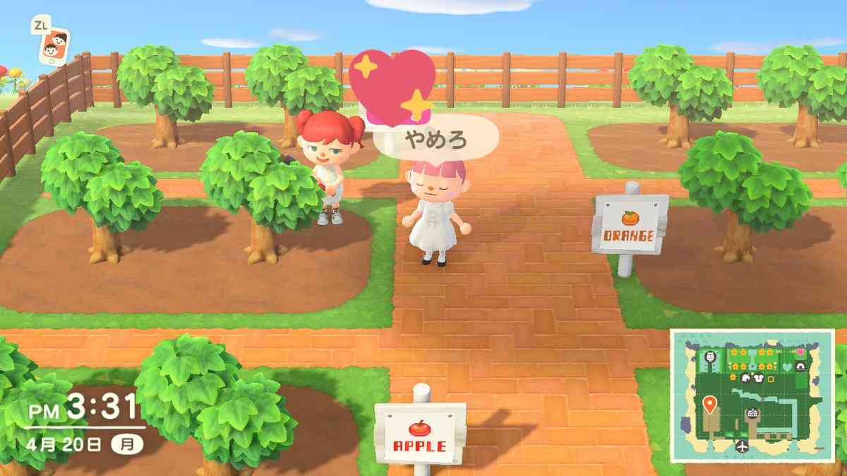 藤田ニコルが破壊活動『どうぶつの森』で三上悠亜の家を「ずっとぶっ壊してた」