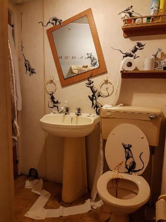 バンクシーも在宅勤務？ トイレをキャンバスに新作公表｜全国のニュース｜佐賀新聞LiVE