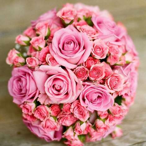 トライアングル・森直樹＆天然もろこし・植山由美子が入籍　第1子妊娠も発表 | ORICON NEWS