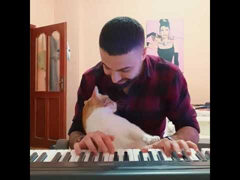 Fevzi ?❤? - YouTube