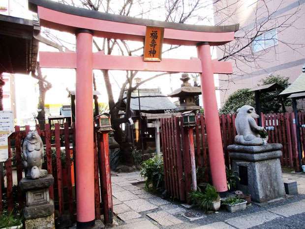 評価が低い徳川綱吉だが…　近年の研究で新たな説 (1/2) 〈dot.〉｜AERA dot. (アエラドット) 