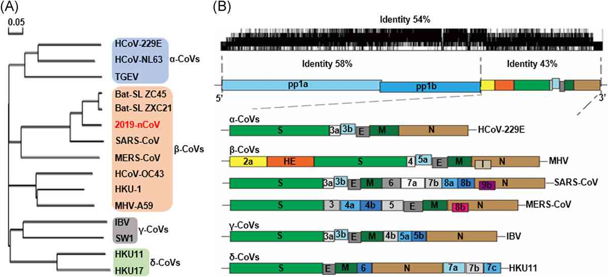 国立感染症研究所が「東京のインフルエンザ死亡数が激増」と発表、新型コロナとの関連性で物議に