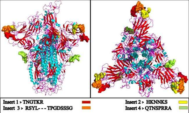 Coronavirus Contains 