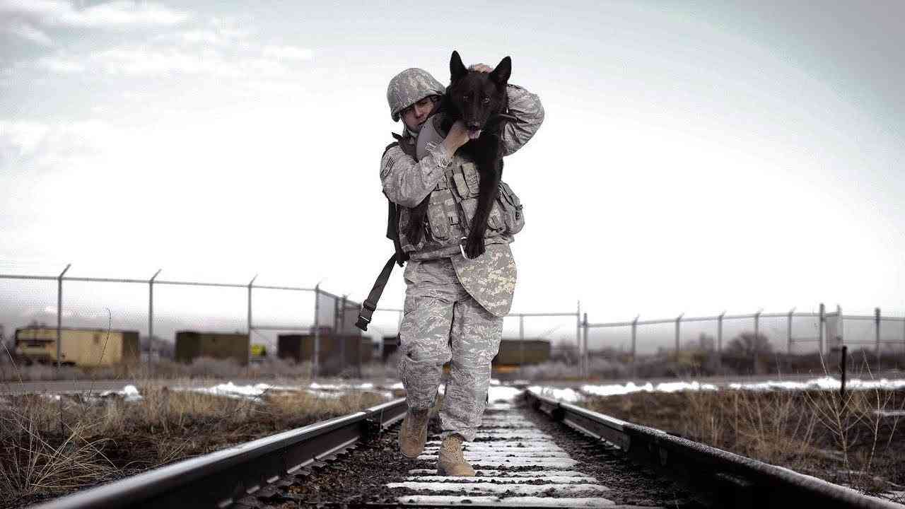 米軍が全人類に向けて緊急放送をする日 - YouTube