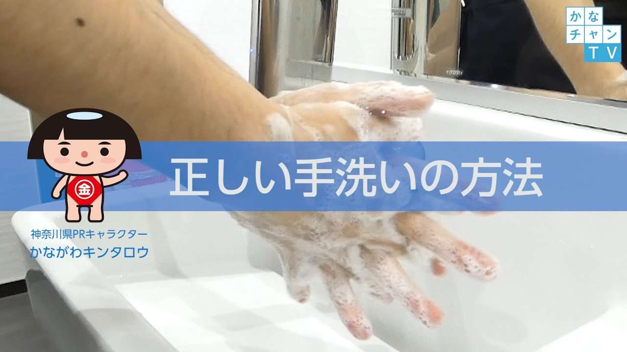 正しい手洗いの方法　解説動画 - YouTube