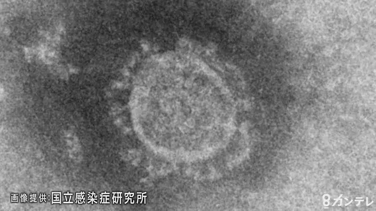 奈良で初の死者　新型コロナ感染の９０代男性が死亡（関西テレビ） - Yahoo!ニュース