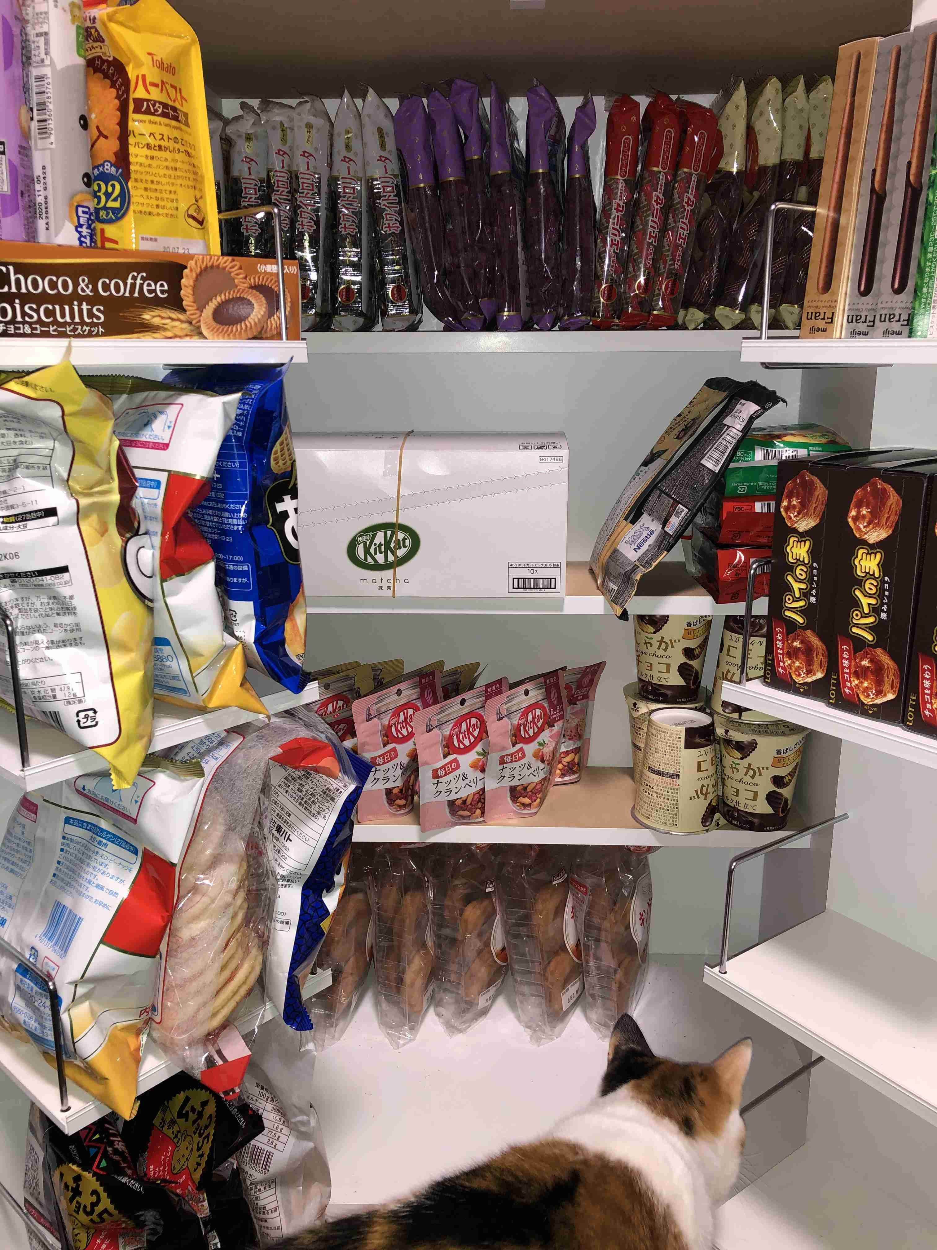 みんなの食品ストックが見たい　その２