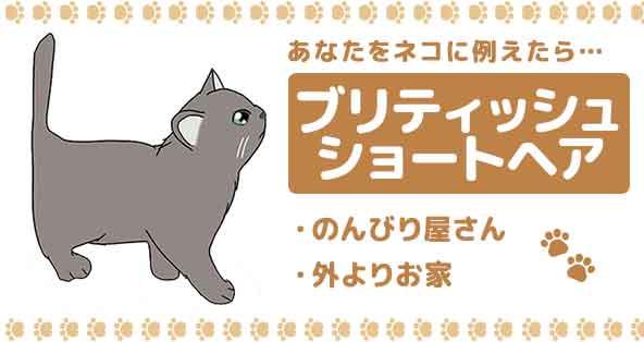 ?あなたをネコに例えたら? | 診断ドットコム