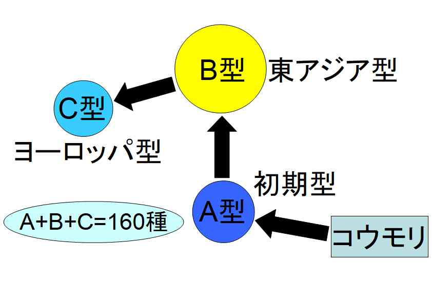 新型コロナウイルスはヨーロッパへ広がるために変異していた？ウイルスの系譜が明らかに | ナゾロジー