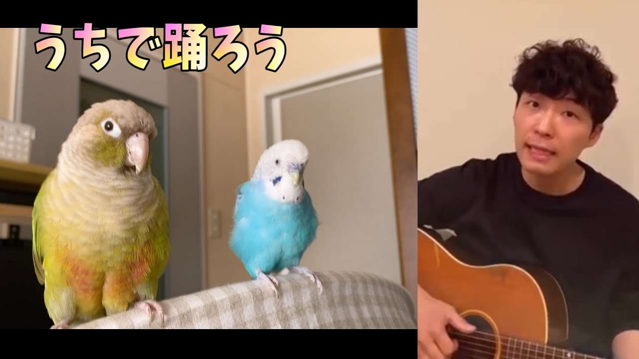 うちで踊ろう／星野源×うめごまブラザーズ - YouTube