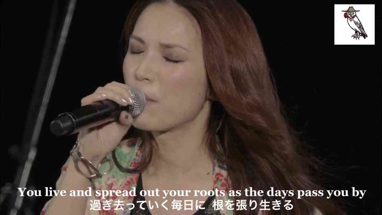 Superfly-Wildflower(English lyrics) - YouTube