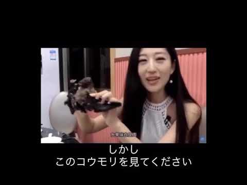 中国　コウモリ　食レポ　♯新型肺炎　※日本語字幕あり - YouTube
