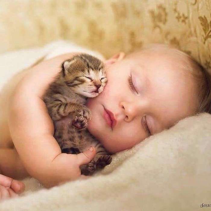 【画像】人＋動物＝最高の癒し✨