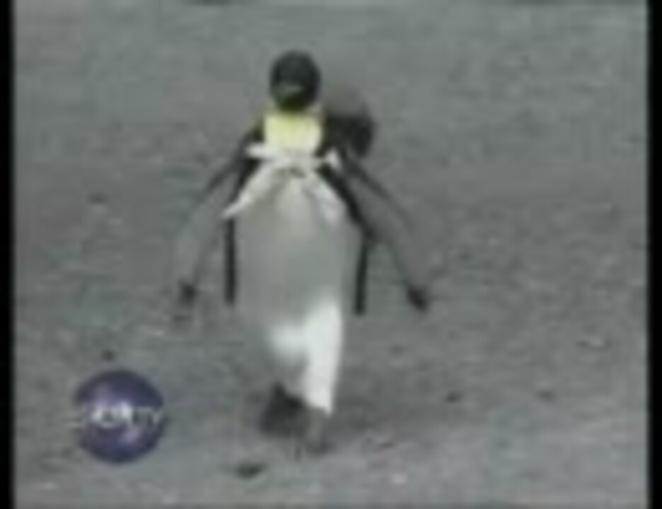 お使いするペンギン - ニコニコ動画