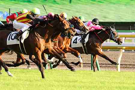 【思わず2度見】クセの強すぎる競走馬の名前ランキング|キンタマーニ,ジーカップダイスキ,ネコパンチ|他 - gooランキング