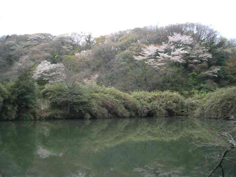 水恐怖症