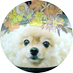もつれら on Twitter: 