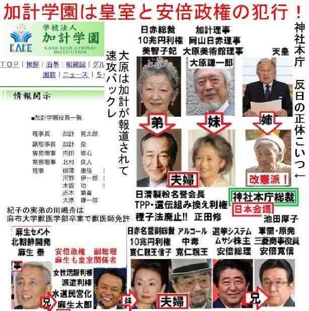 「立皇嗣の礼」延期を決定 新型コロナ感染拡大で