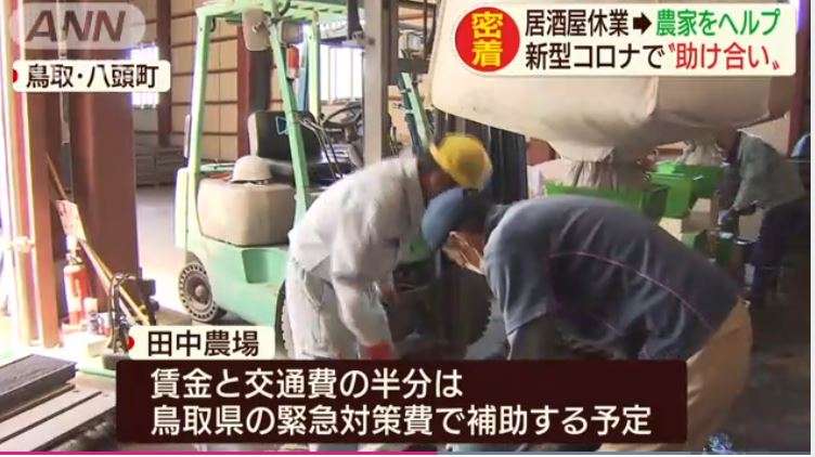 休業の居酒屋スタッフが農家をヘルプで“助け合い”