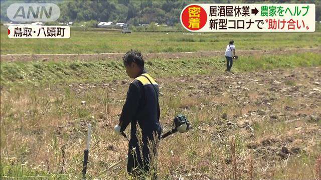 休業の居酒屋スタッフが農家をヘルプで“助け合い”