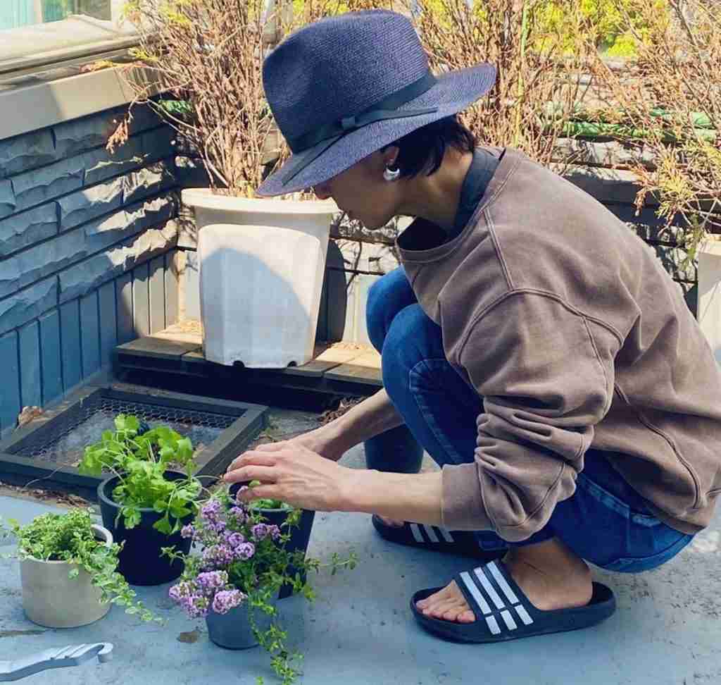 鈴木保奈美、植物と過ごすおうち時間…ファン『何をしていても素敵』と反響 | | COCONUTS