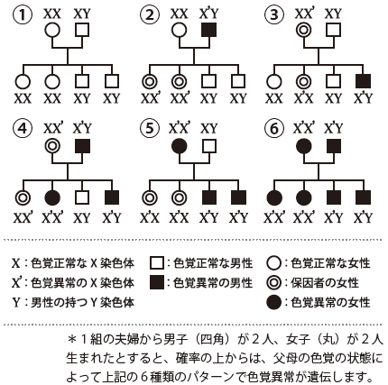 色覚異常(色盲)の方いますか？