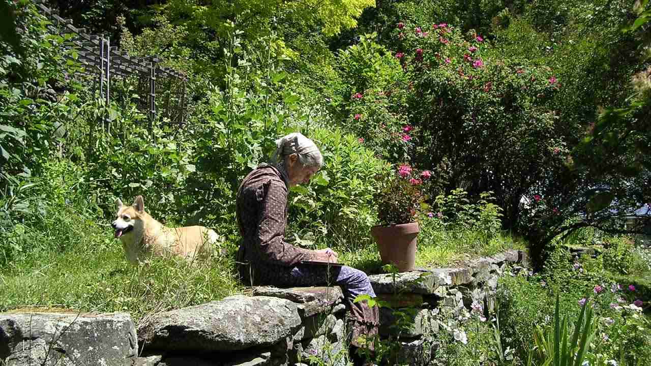 映画『ターシャ・テューダー　静かな水の物語』予告編 - YouTube