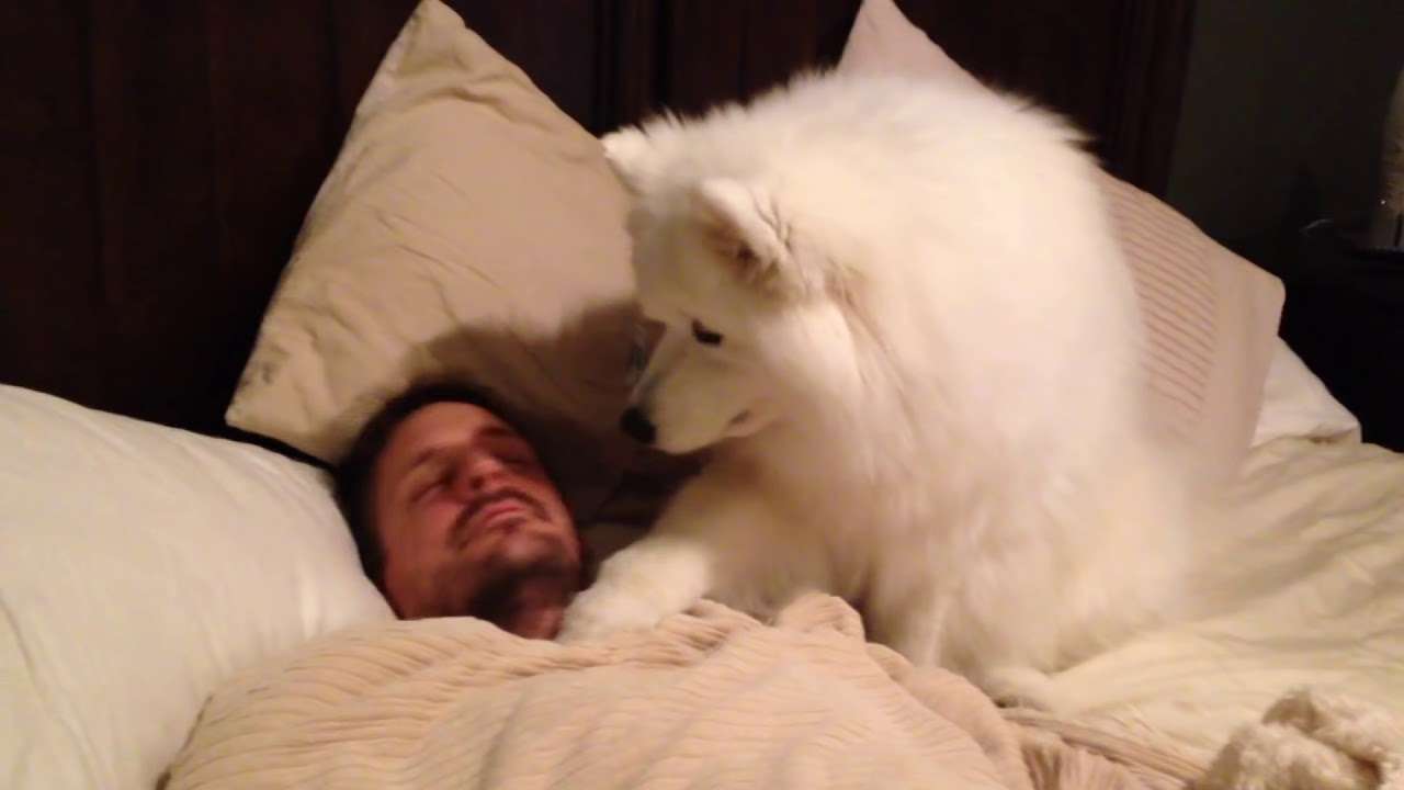 Lexi Wakes Dad UP - YouTube