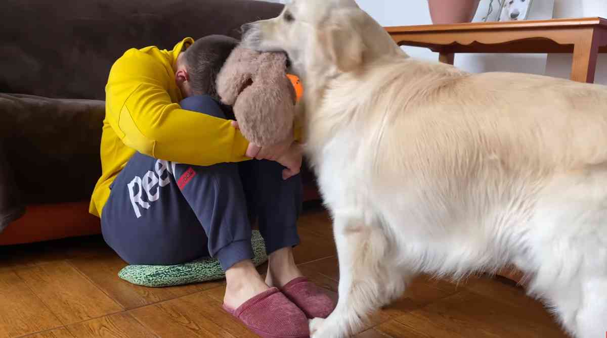 PTSDで苦しんでいる飼い主にいち早く気が付いた犬、そっと寄り添いぎゅっと抱きしめる
