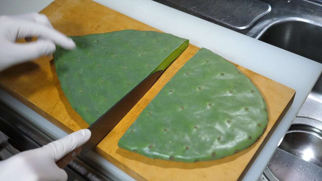 朝ごはん作ってみた『サボテンステーキ』 - YouTube