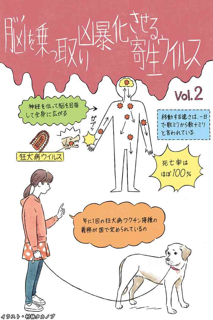 国内14年ぶり狂犬病発症　来日者、フィリピンで感染か―愛知・豊橋