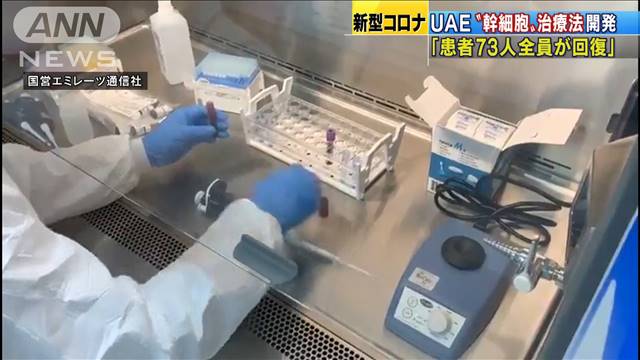 幹細胞利用の治療法をUAEが開発「患者73人が回復」