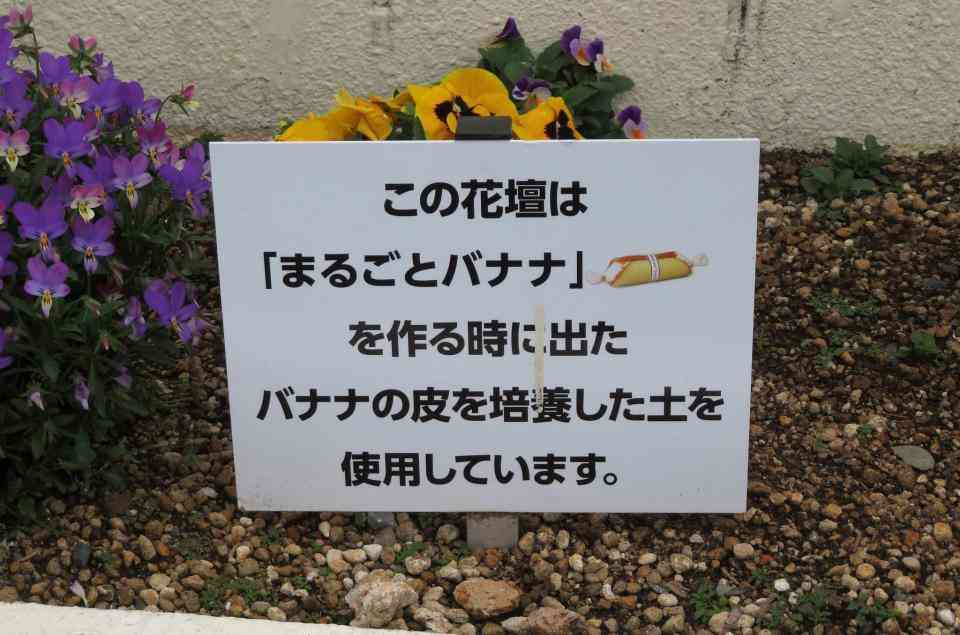 皮も捨てずに再利用！　山崎製パン「まるごとバナナ」はマジでバナナをまるごと活用していた