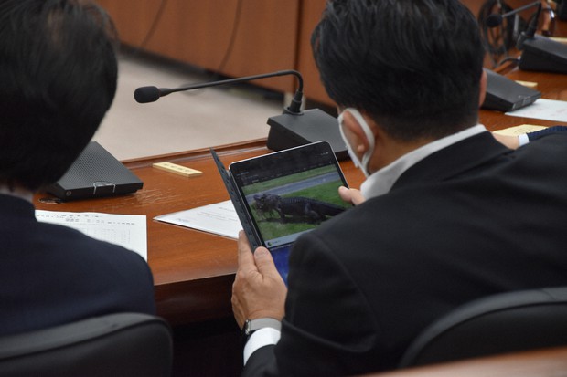 検察庁法改正案審議中にワニの動画閲覧　自民・平井前科技担当相「たまたま出た」