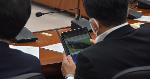検察庁法改正案審議中にワニの動画閲覧　自民・平井前科技担当相「たまたま出た」 - 毎日新聞