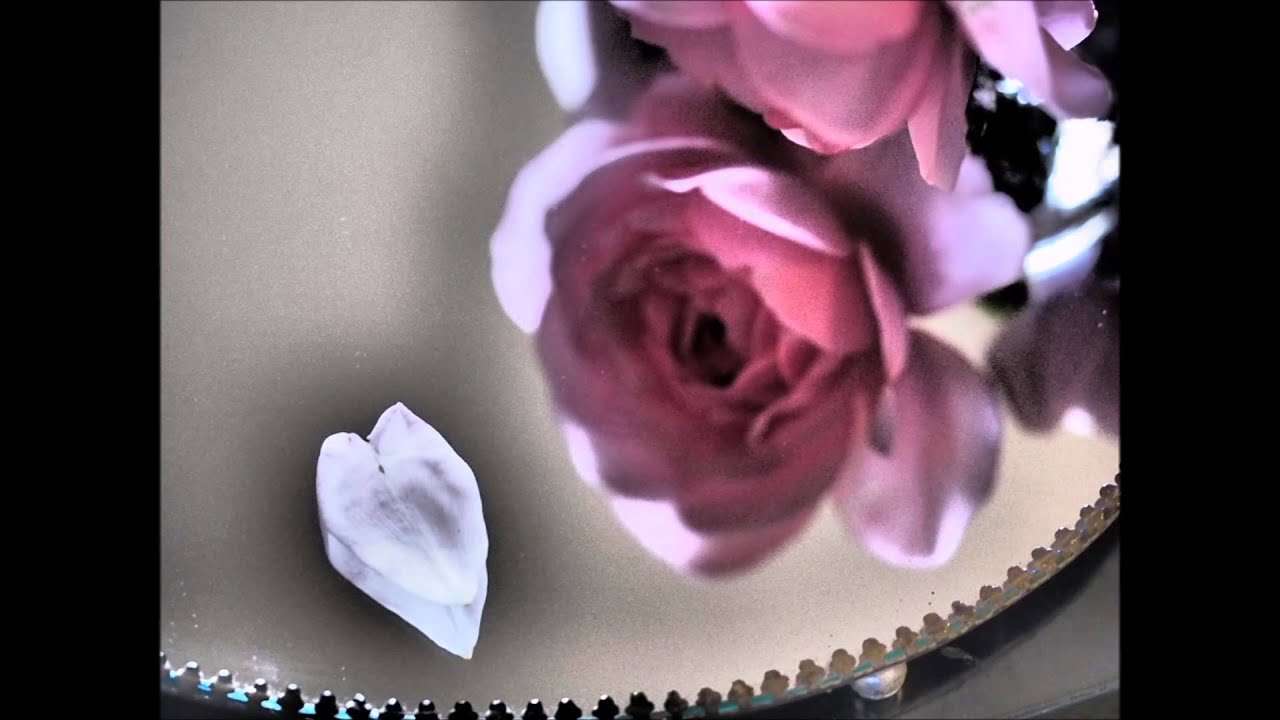 Alone 岡本真夜 - YouTube