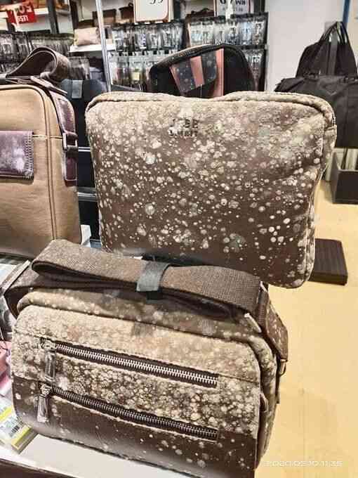 【閲覧注意】カビに覆われたマレーシアのショッピングモール 新型コロナのロックダウンがもたらした意外な影響