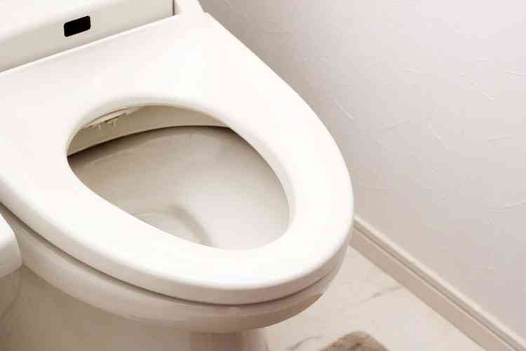 やってはいけない水回り掃除　トイレの床に掃除機で雑菌が家中に…（マネーポストWEB） - Yahoo!ニュース