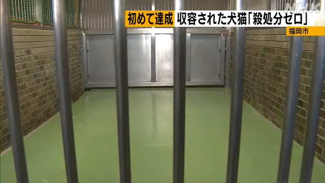 福岡市　犬猫の殺処分ゼロを達成｜NHK 福岡のニュース