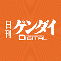 結核の予防ワクチンBCGが新型コロナウイルスを撃退する？