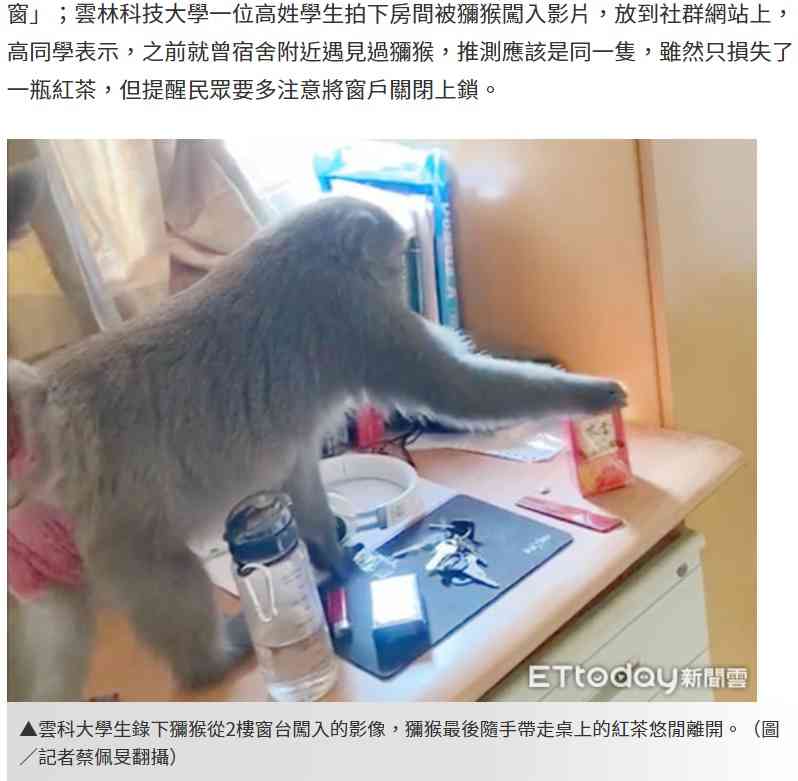 【海外発！Breaking News】学生寮に野生のサル乱入　紙パックの紅茶をくわえて立ち去る（台湾） | Techinsight（テックインサイト）|海外セレブ、国内エンタメのオンリーワンをお届けするニュースサイト