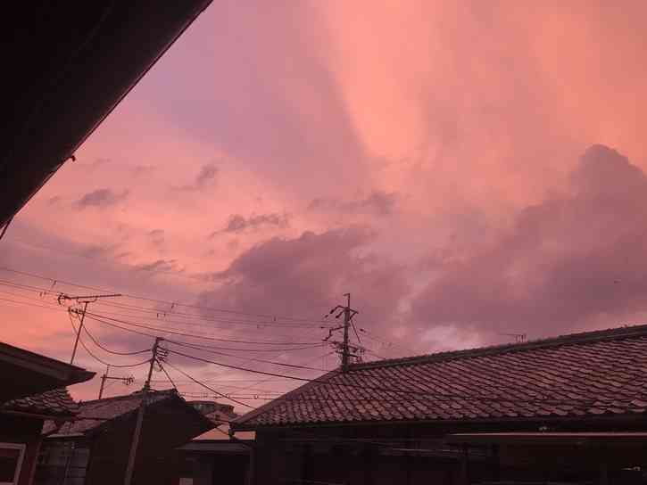 どこか切ない夏の画像を貼っていくトピpart4