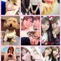 tukanpoyokochanさんの写真 - 写真共有サイト「フォト蔵」