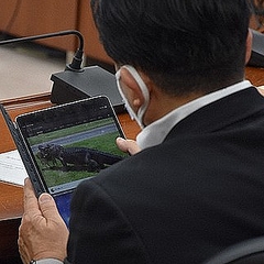 検察庁法改正案審議中にワニの動画閲覧　自民・平井前科技担当相「たまたま出た」